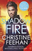 Shadow Fire (eBook, ePUB)