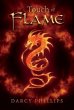 Touch of Flame (eBook, ePUB) - Bild 1