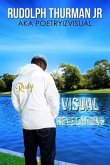 Visual Revelations (eBook, ePUB)