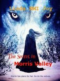 The Secret in Morris Valley (eBook, ePUB) The Secret in Morris Valley (eBook, ePUB)