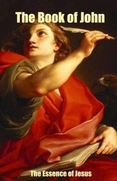 The Book of John - The Essence of Jesus (eBook, ePUB) - Meerstadt, Gerard