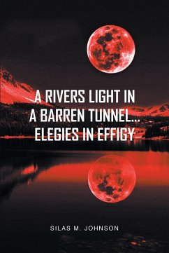 Cover A Rivers Light in a Barren Tunnel... Elegies in Effigy (eBook, ePUB)