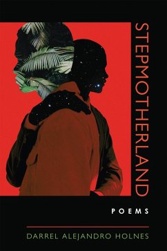 Stepmotherland (eBook, ePUB) - Holnes, Darrel Alejandro