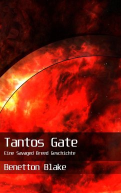 Cover Tantos Gate (eBook, ePUB)