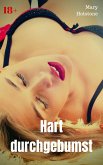 Hart durchgebumst (eBook, ePUB)