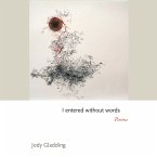 I entered without words (eBook, PDF)