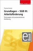 Grundlagen - SGB III: Arbeitsförderung (eBook, PDF)