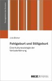 Fehlgeburt und Stillgeburt (eBook, PDF)