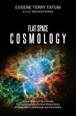Flat Space Cosmology (eBook, ePUB)