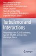 Turbulence and Interactions - Bild 1