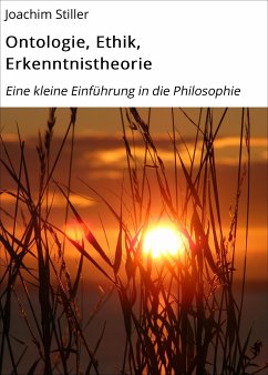 Ontologie, Ethik, Erkenntnistheorie (eBook, ePUB) - Stiller, Joachim