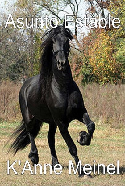 Asunto Estable (eBook, ePUB) Asunto Estable (eBook, ePUB)