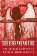 Subterranean Fire (eBook, ePUB) - Bild 1
