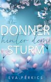 Der Donner hinter dem Sturm (eBook, ePUB)