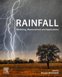 Cover Rainfall (eBook, ePUB)
