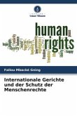 Internationale Gerichte und der Schutz der Menschenrechte