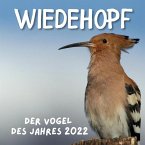 Wiedehopf