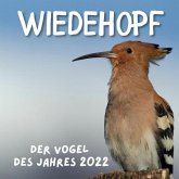 Wiedehopf Wiedehopf