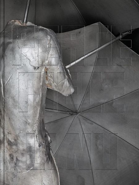 Li Nu: Peace Piece Li Nu: Peace Piece