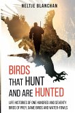 Birds That Hunt and Are Hunted