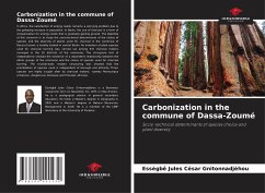 Carbonization in the commune of Dassa-Zoumé - Gnitonnadjèhou, Essègbê Jules César