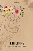 Libussa (eBook, ePUB)