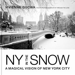 New York in the Snow - Gucwa, Vivienne