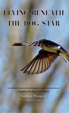 Flying Beneath the Dog Star - Winograd, Kathryn