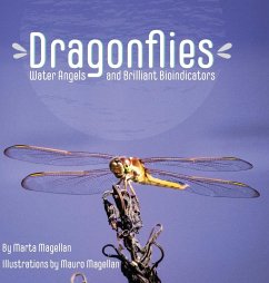 Dragonflies - Magellan, Marta