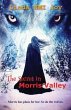 The Secret in Morris Valley - Bild 1