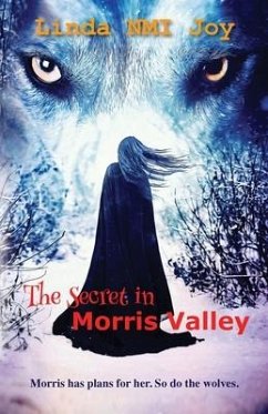 The Secret in Morris Valley - Joy, Linda Nmi