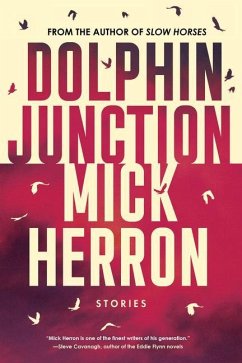Dolphin Junction: Stories - Herron, Mick