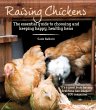 Raising Chickens - Bild 1