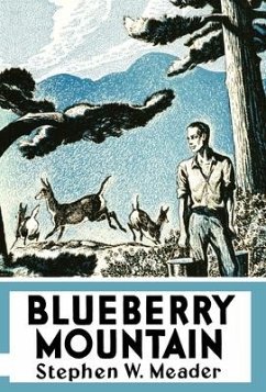 Blueberry Mountain - Meader, Stephen W