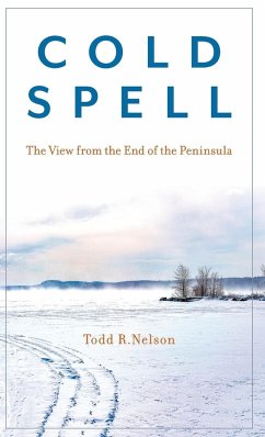 Cold Spell - Nelson, Todd R.