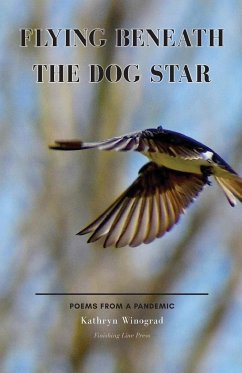 Flying Beneath the Dog Star - Winograd, Kathryn
