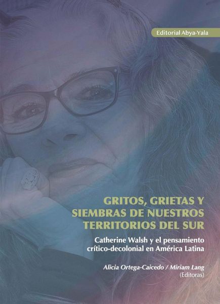 Gritos, grietas y siembras de nuestros territorios del sur (eBook, PDF)