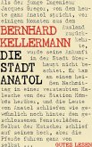 Die Stadt Anatol (eBook, ePUB)