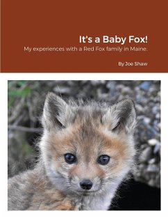 It's a Baby Fox! - Shaw, Joe