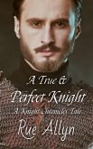 A True and Perfect Knight (Knight Chronicles, #0) (eBook, ePUB)