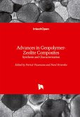 Advances in Geopolymer-Zeolite Composites