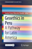 Geoethics in Peru (eBook, PDF) Geoethics in Peru (eBook, PDF)