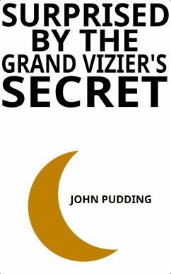 Cover Surprised by the Grand Vizier's Secret (eBook, ePUB)
