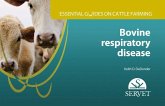Bovine Respiratory Disease. Essential Guides on Cattle Farming