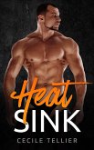 Heat Sink (eBook, ePUB)