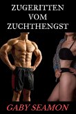 Zugeritten vom Zuchthengst (eBook, ePUB)