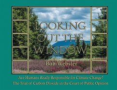 Looking out the Window (eBook, ePUB)