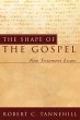 The Shape of the Gospel (eBook, ePUB) - Bild 1