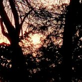 Island of Fairies (eBook, ePUB)