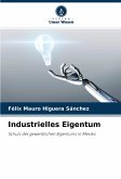 Industrielles Eigentum